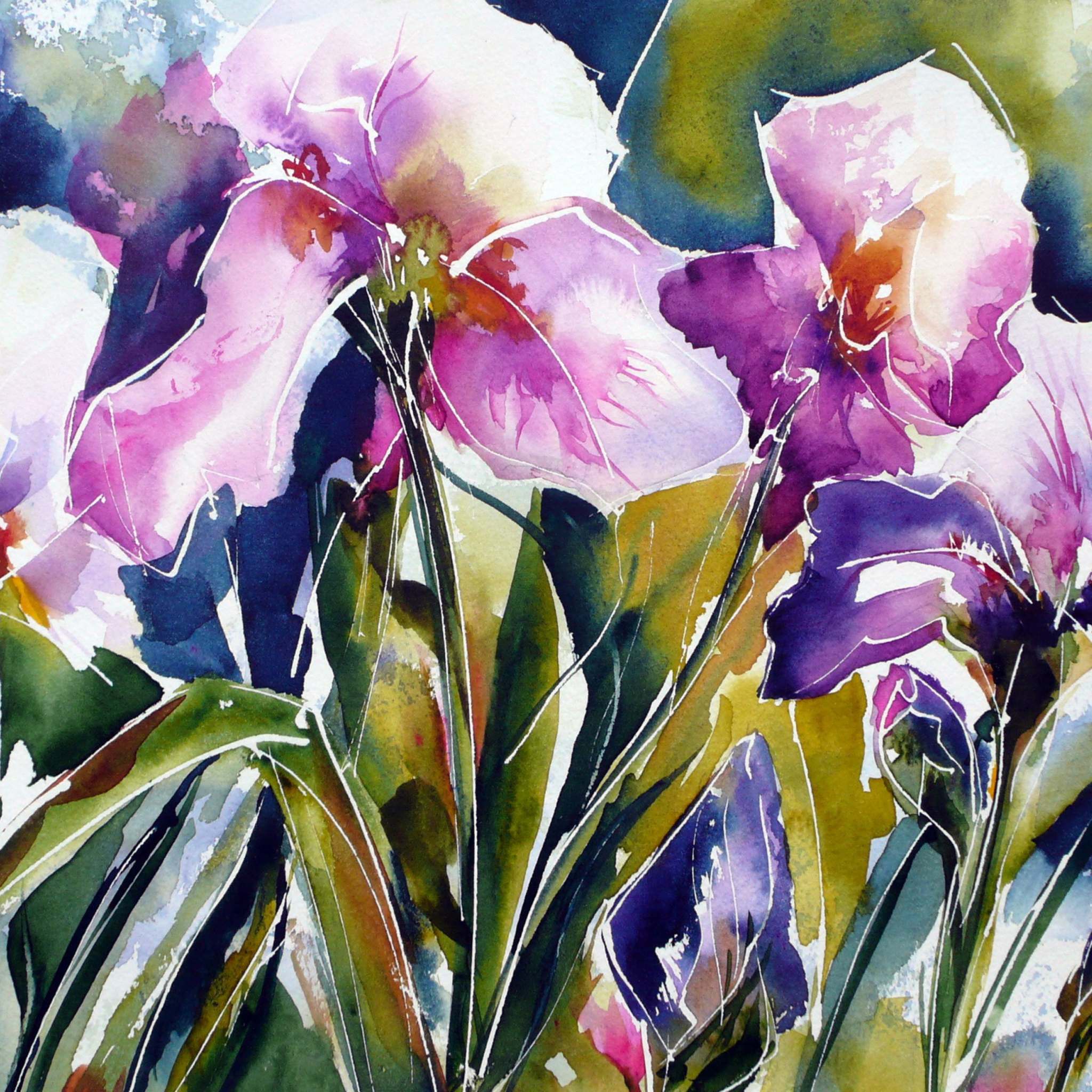 Fondo de pantalla Pink Flowers Painting 2048x2048