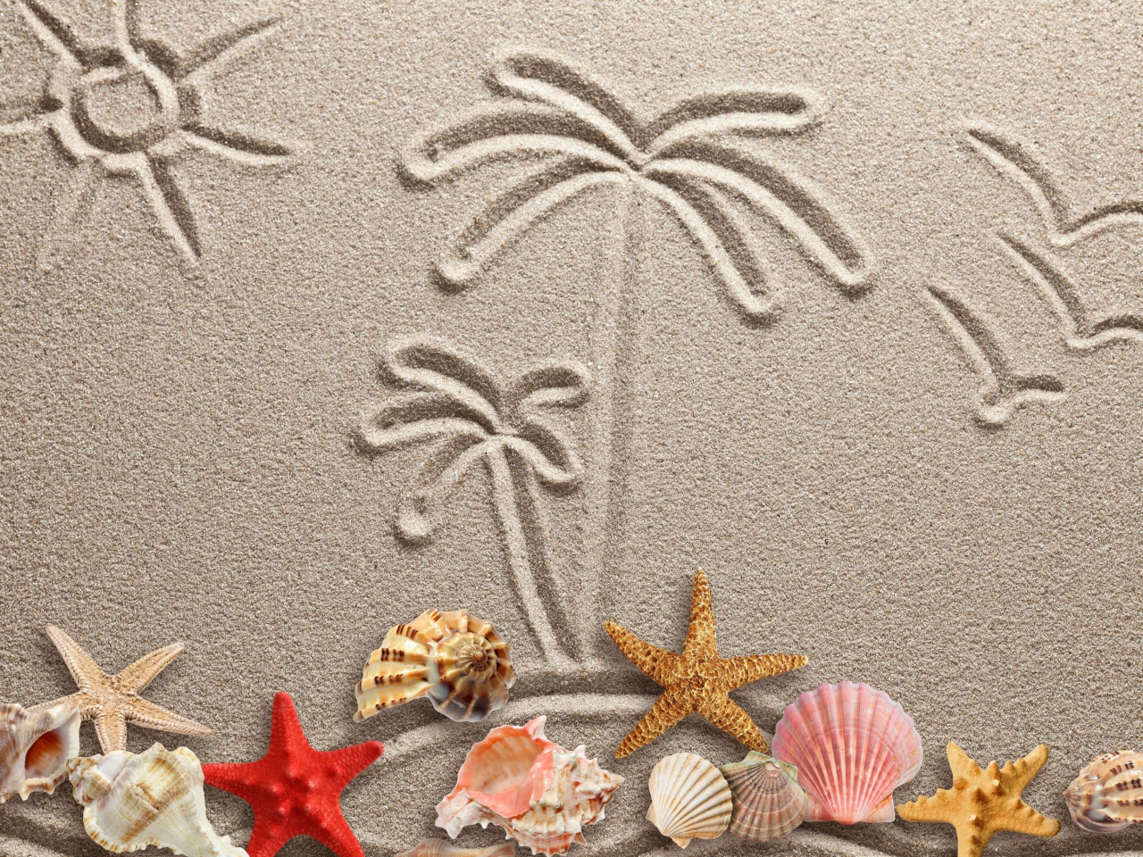 Обои Seashells Texture on Sand 1280x960