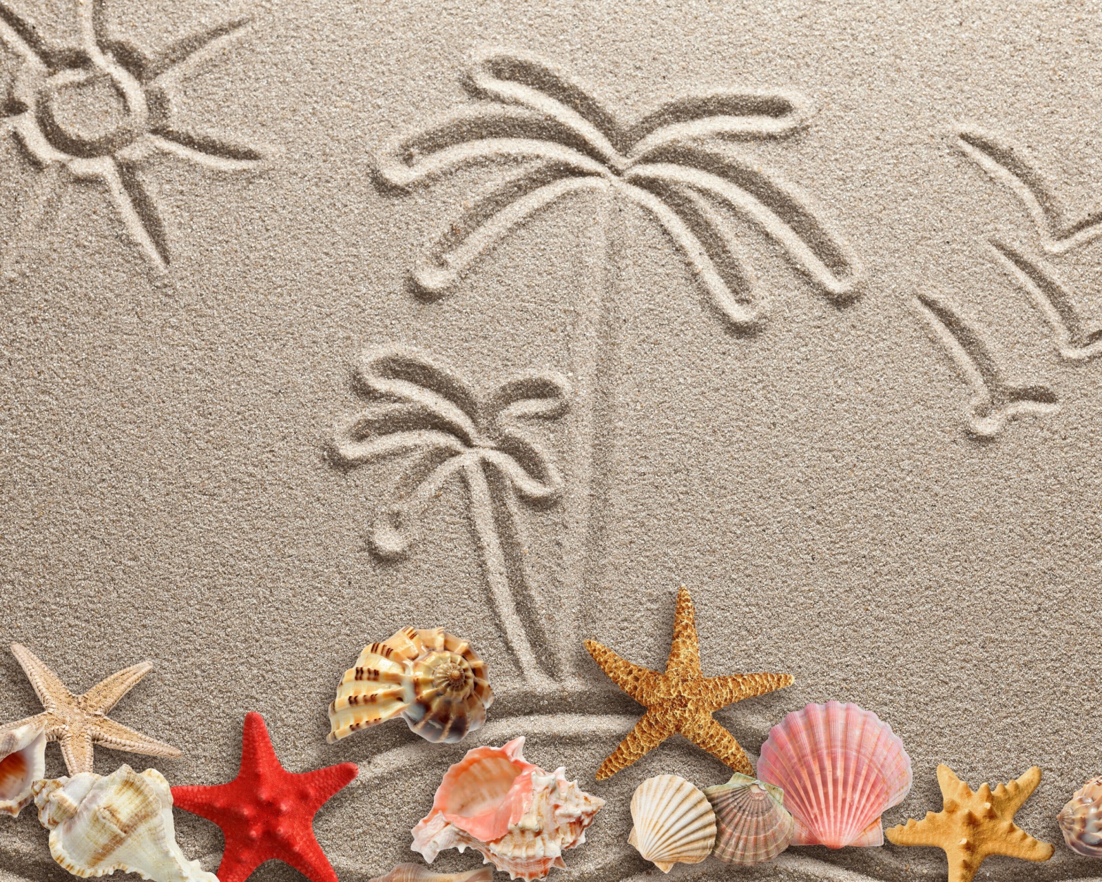 Fondo de pantalla Seashells Texture on Sand 1600x1280