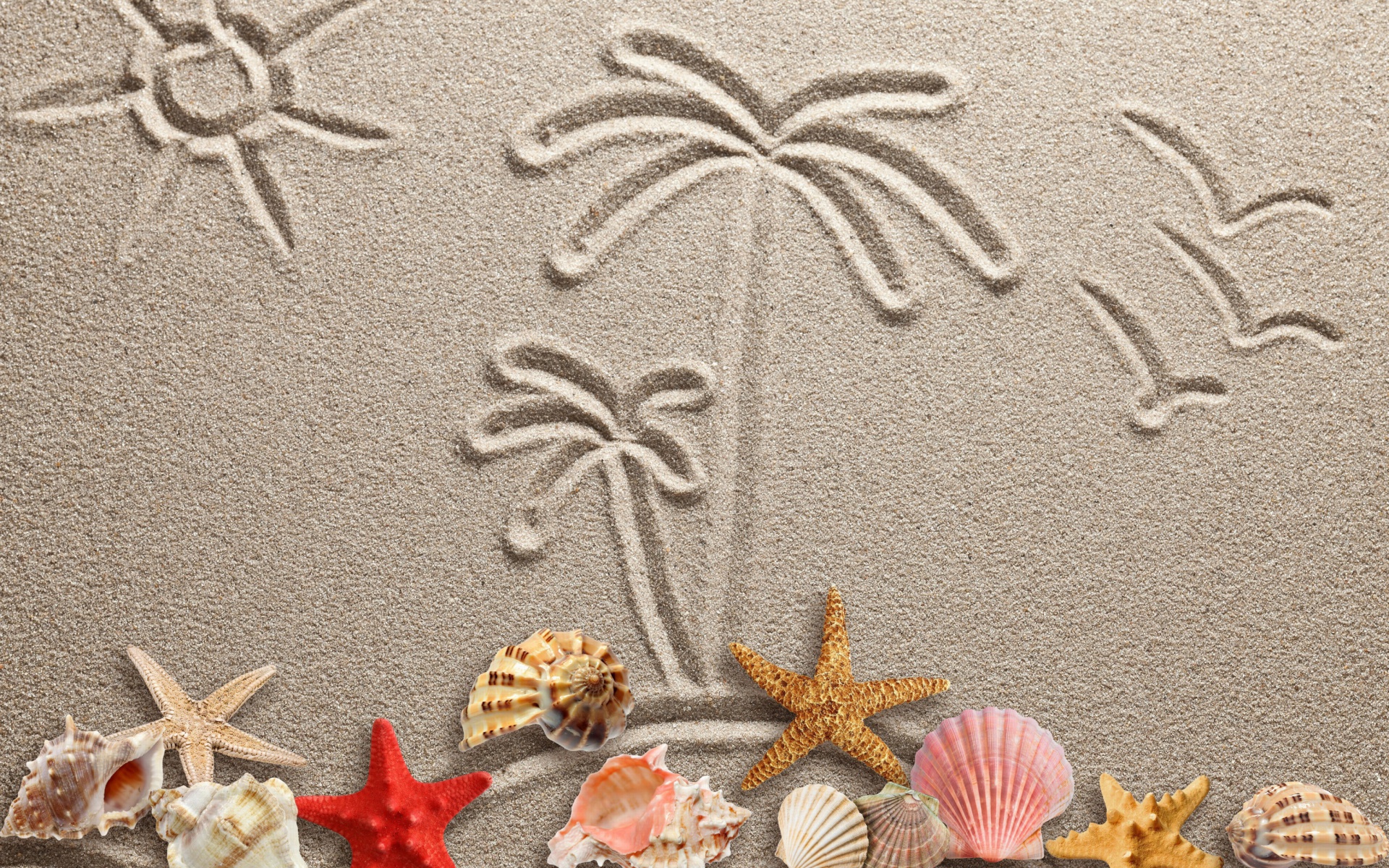 Das Seashells Texture on Sand Wallpaper 1920x1200