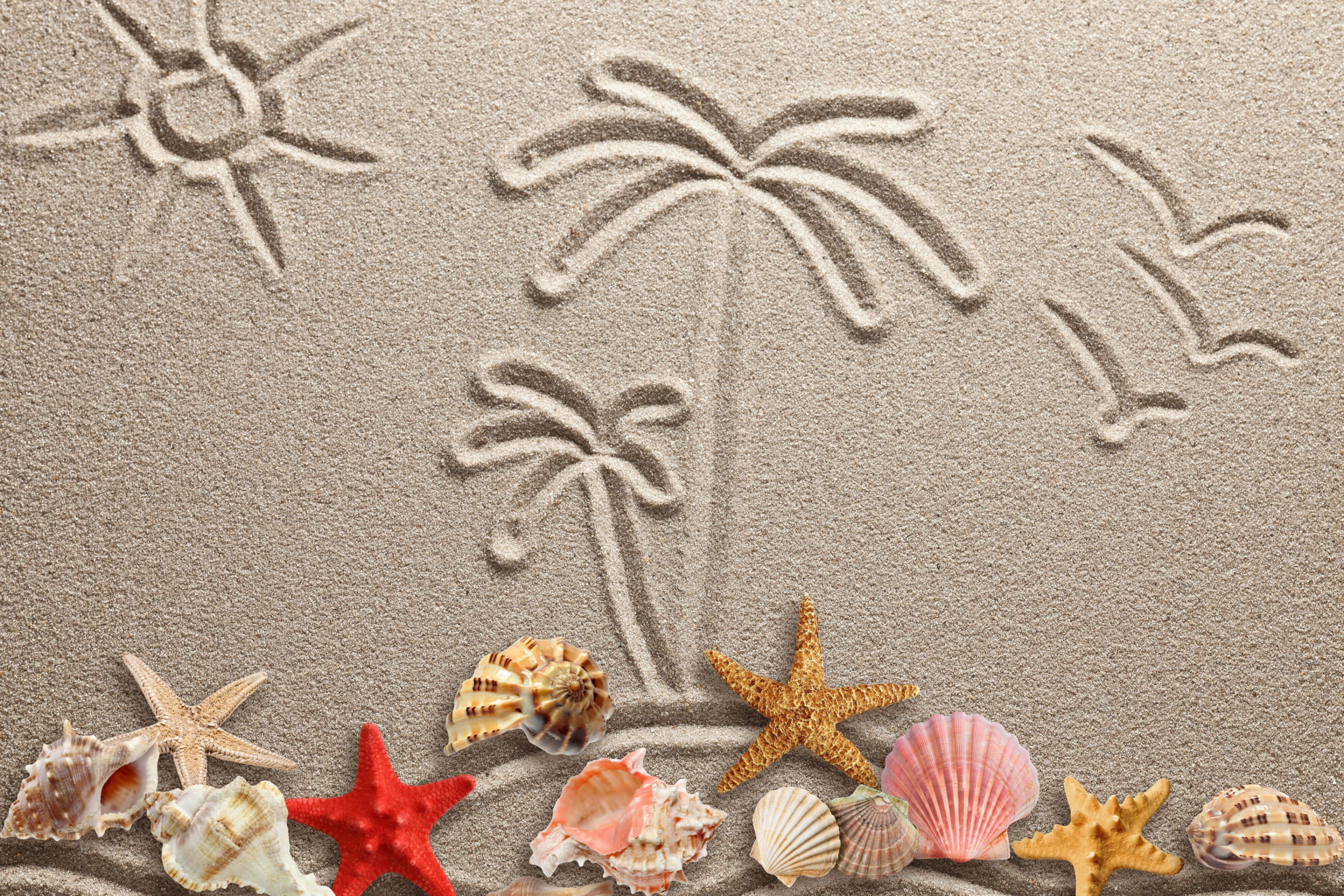 Screenshot №1 pro téma Seashells Texture on Sand 2880x1920