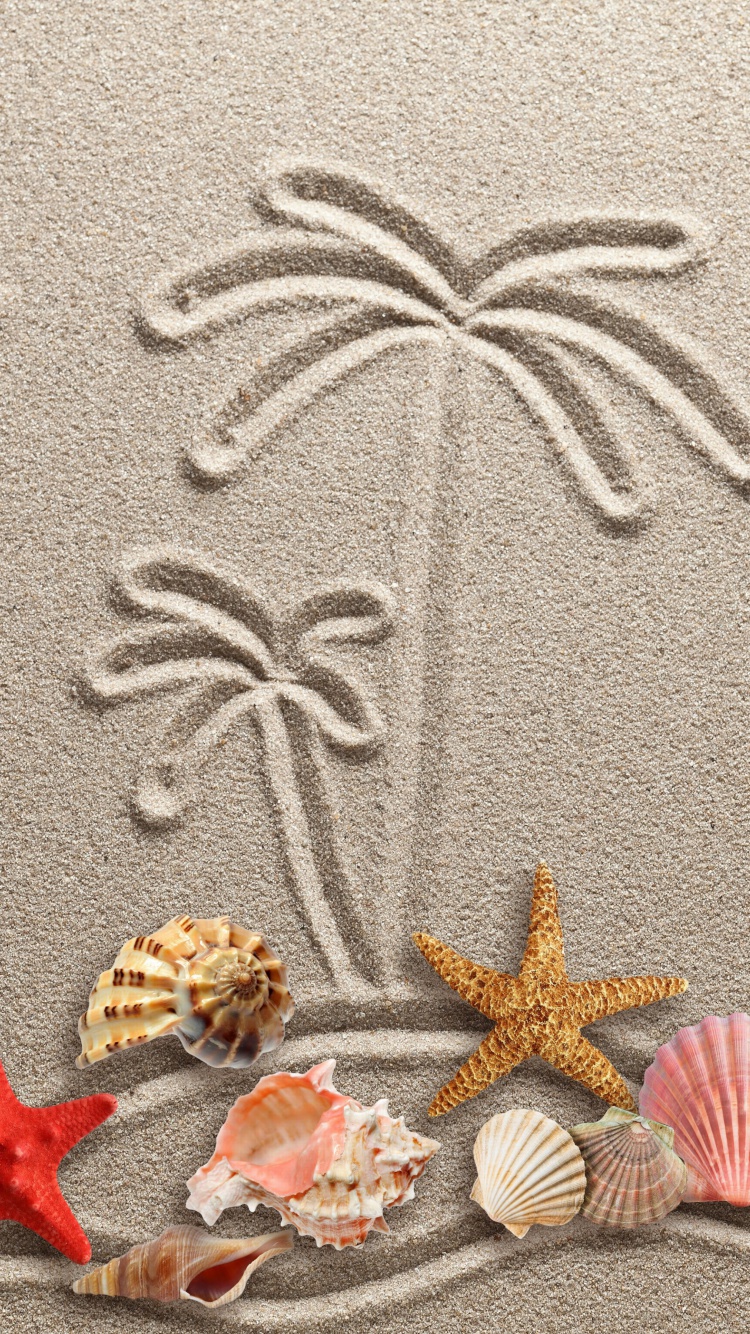 Screenshot №1 pro téma Seashells Texture on Sand 750x1334
