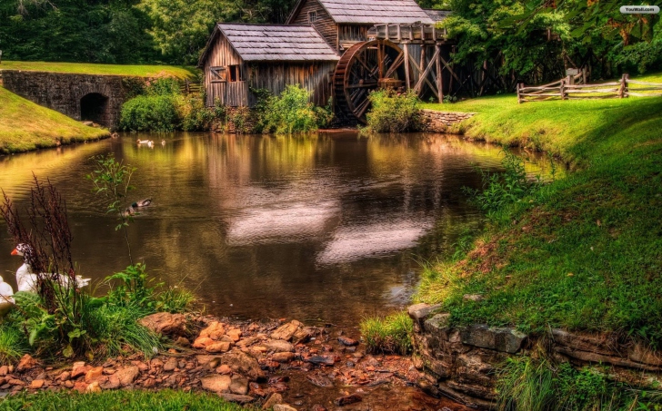 Farm Cottage wallpaper