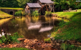 Farm Cottage - Obrázkek zdarma pro Samsung Galaxy Tab 7.7 LTE