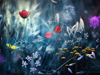 Screenshot №1 pro téma Magical Flower Field 320x240