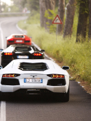 Lamborghini Cars screenshot #1 132x176