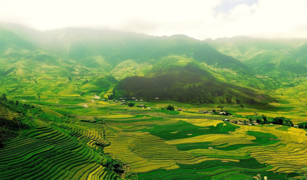 Fondo de pantalla Vietnam Landscape Field in Ninhbinh 1024x600