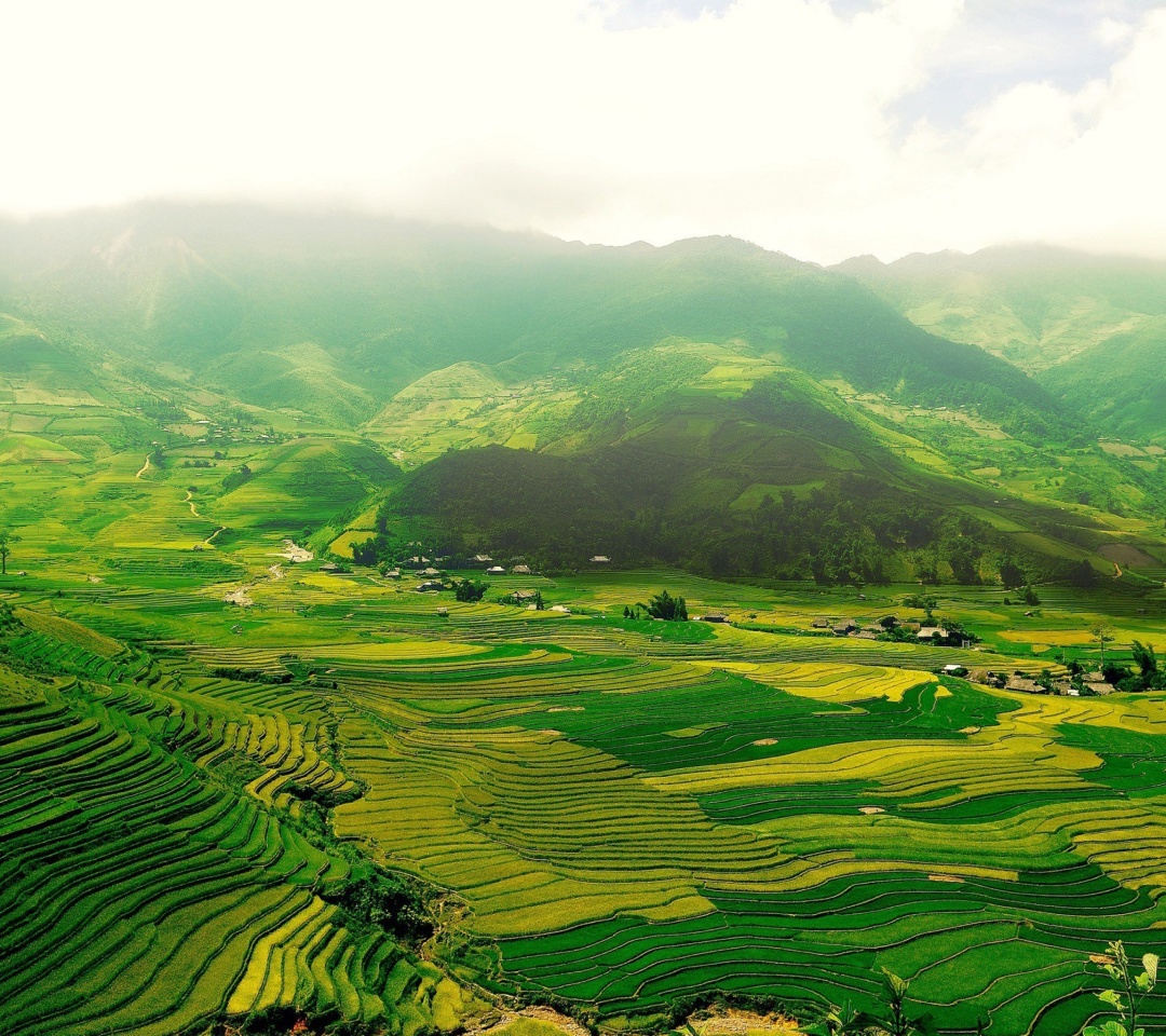 Das Vietnam Landscape Field in Ninhbinh Wallpaper 1080x960