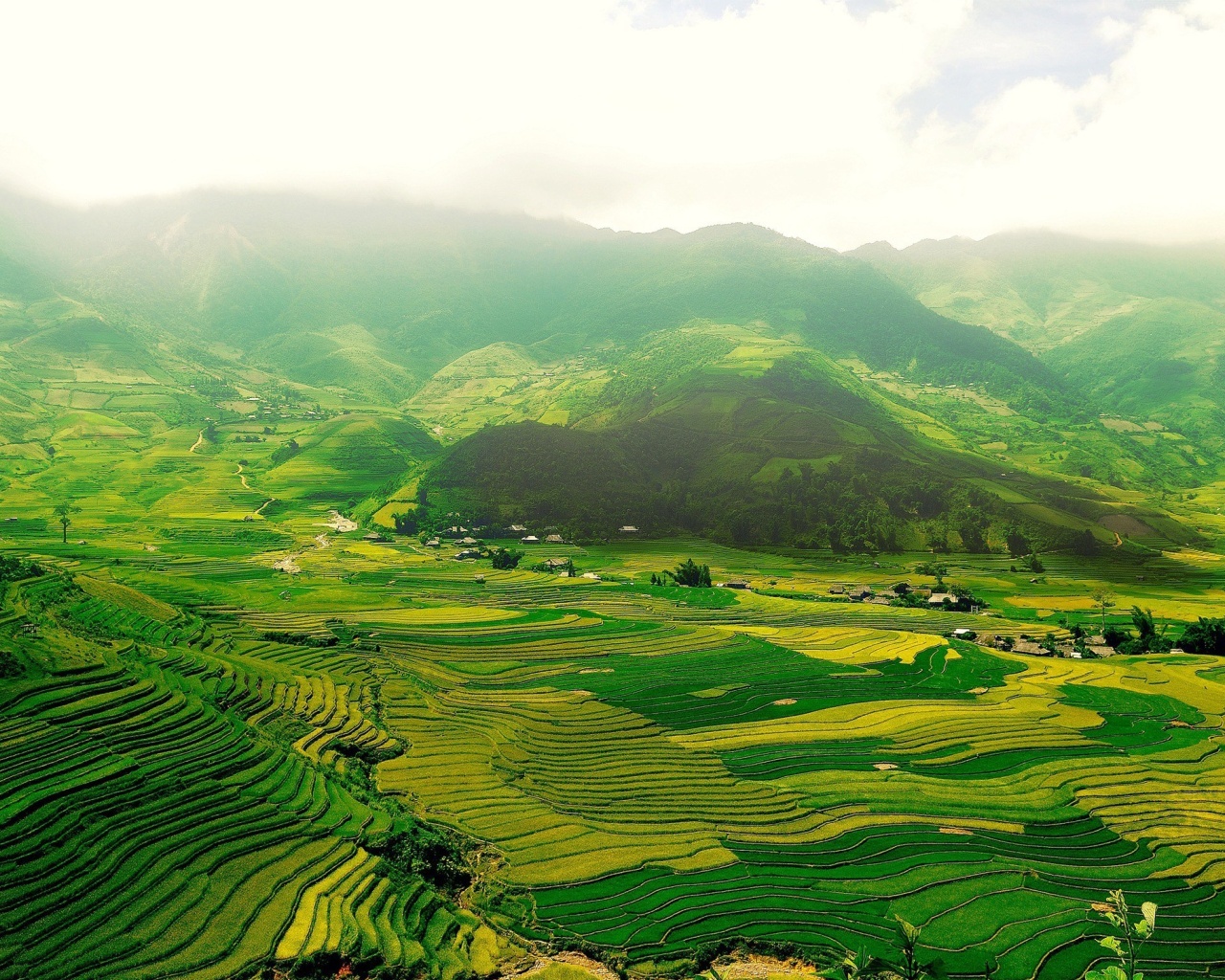 Обои Vietnam Landscape Field in Ninhbinh 1280x1024