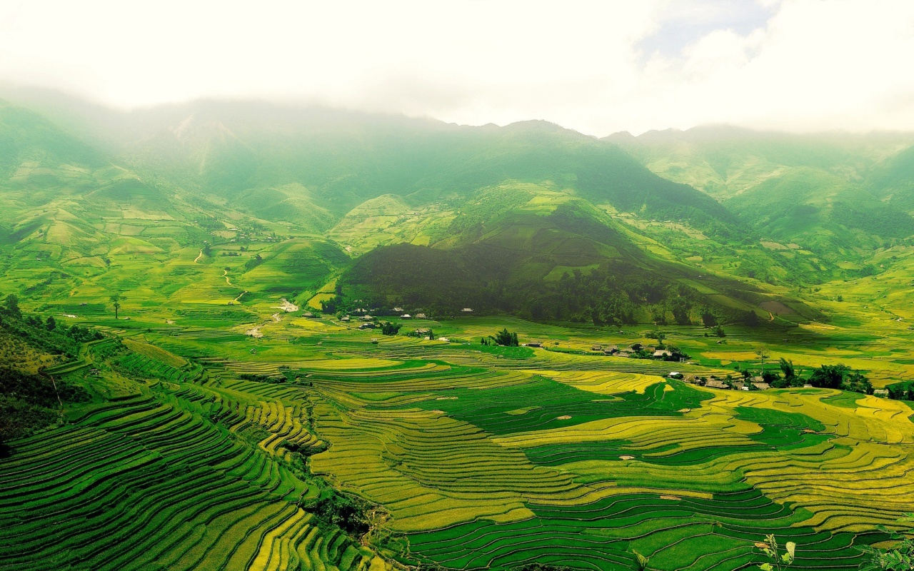 Das Vietnam Landscape Field in Ninhbinh Wallpaper 1280x800