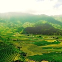 Sfondi Vietnam Landscape Field in Ninhbinh 128x128