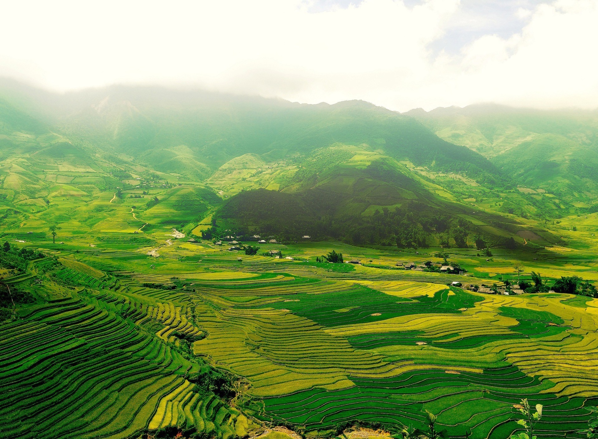 Sfondi Vietnam Landscape Field in Ninhbinh 1920x1408