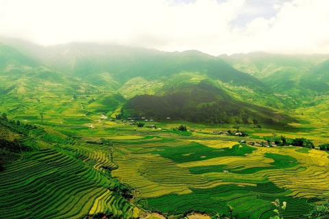 Fondo de pantalla Vietnam Landscape Field in Ninhbinh 480x320