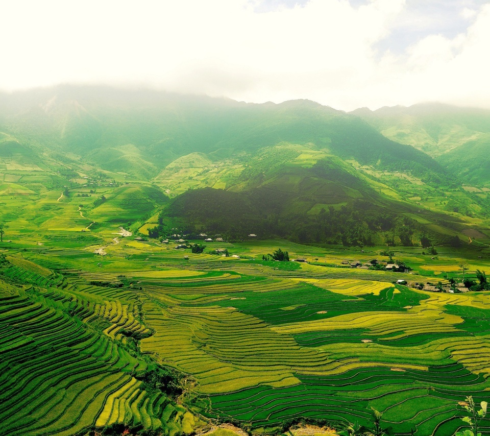 Screenshot №1 pro téma Vietnam Landscape Field in Ninhbinh 960x854