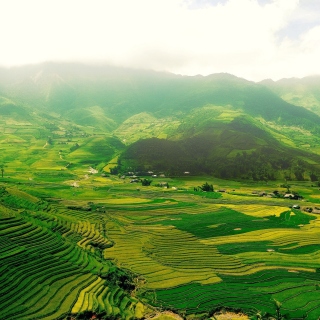 Vietnam Landscape Field in Ninhbinh papel de parede para celular para iPad 2