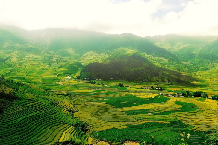 Das Vietnam Landscape Field in Ninhbinh Wallpaper