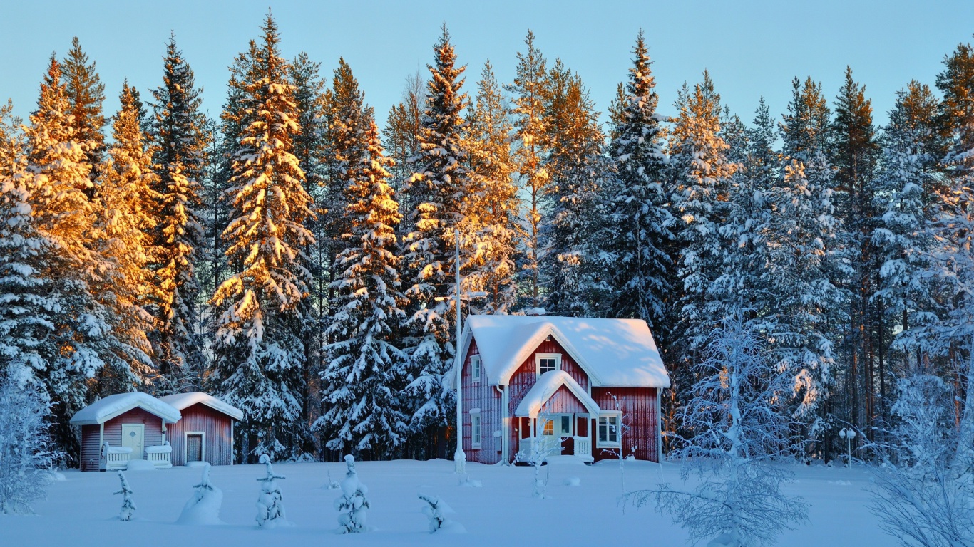 Screenshot №1 pro téma Home under Snow 1366x768