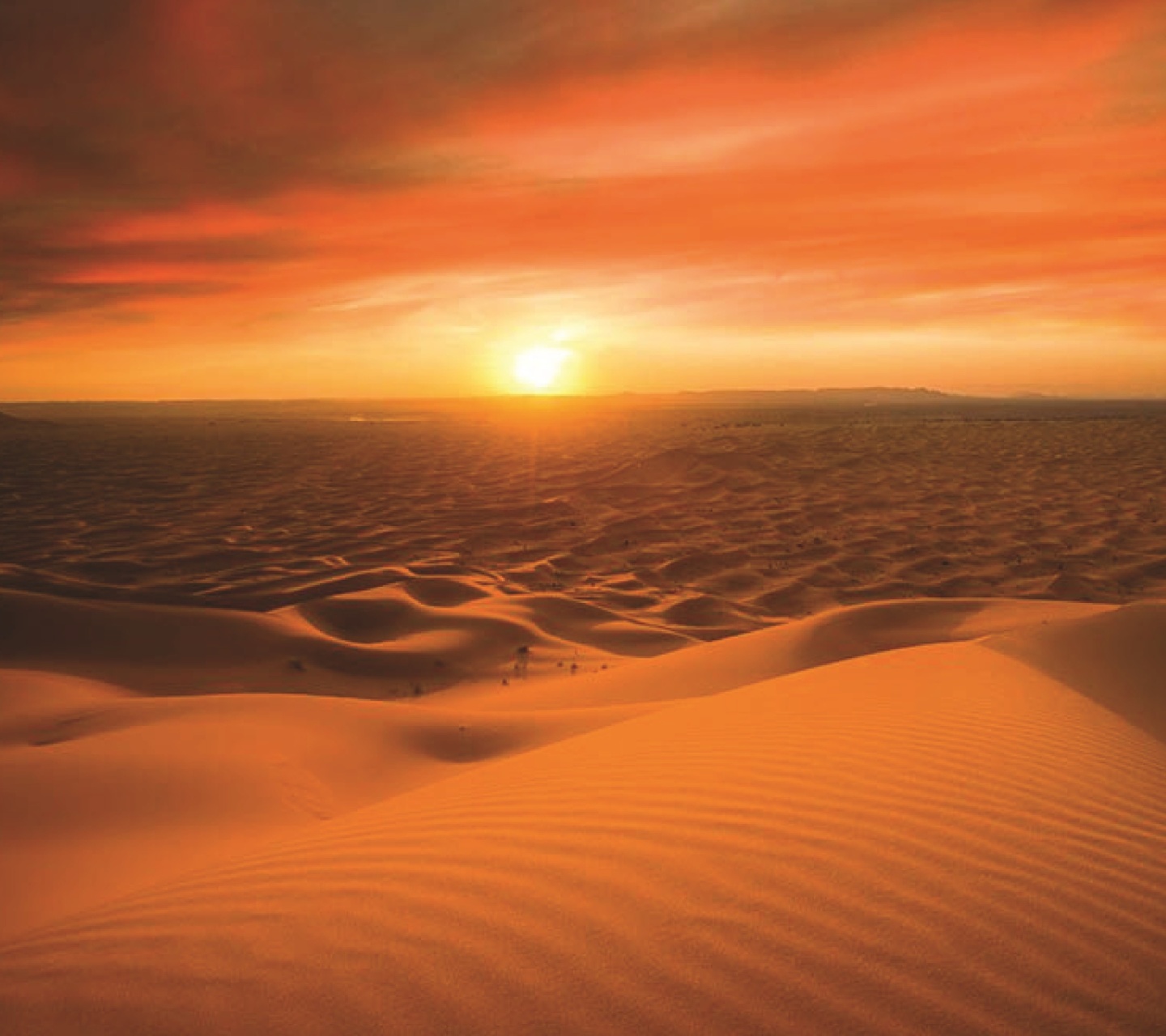Fondo de pantalla Morocco Sahara Desert 1440x1280
