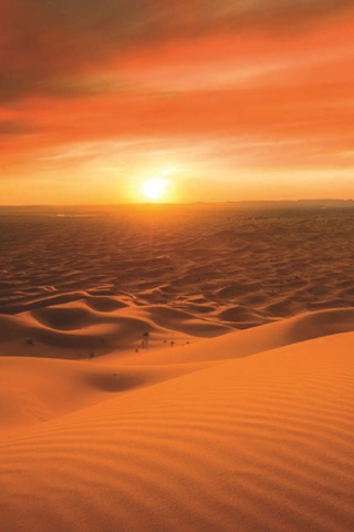 Morocco Sahara Desert wallpaper 320x480