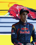 Screenshot №1 pro téma Red Bull Team F1 128x160