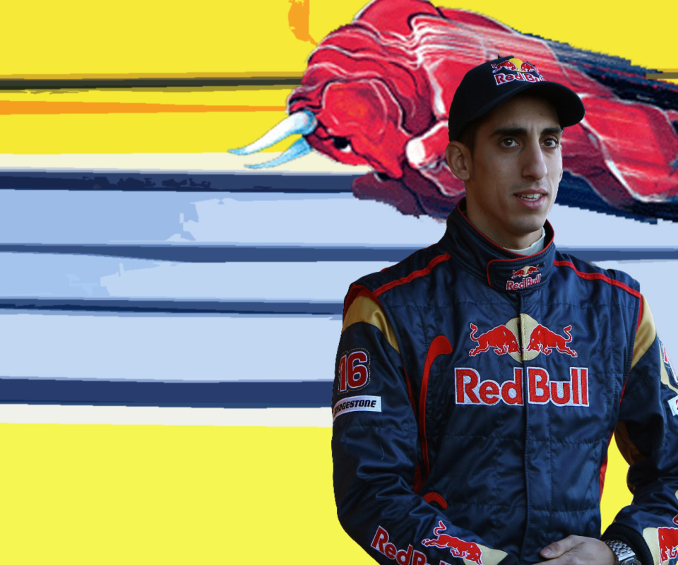 Das Red Bull Team F1 Wallpaper 960x800