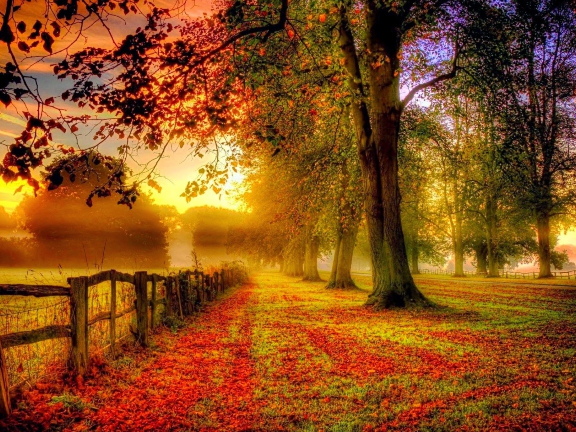 Обои Autumn Morning 1152x864