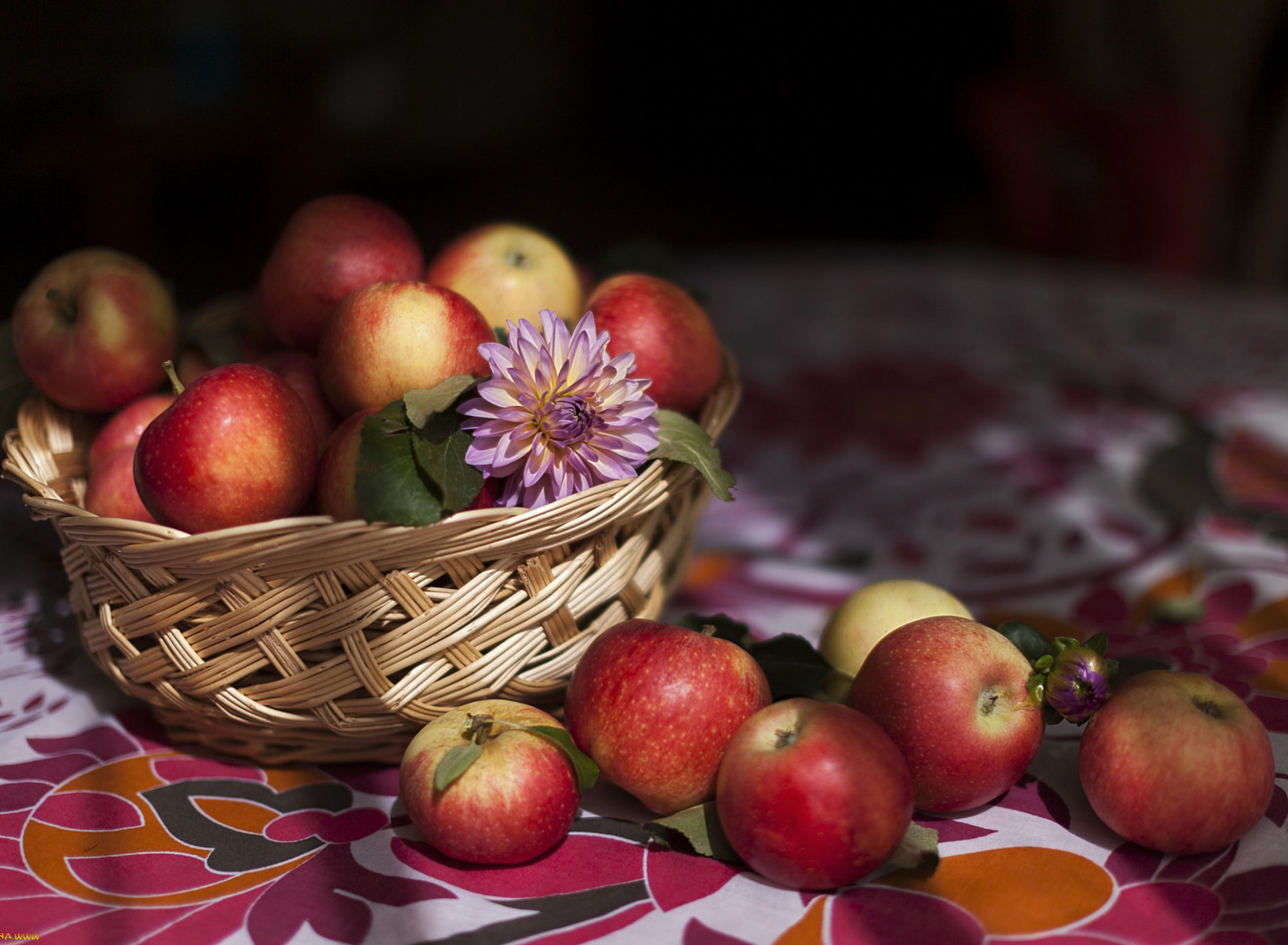 Das Bunch Autumn Apples Wallpaper 1920x1408