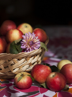 Das Bunch Autumn Apples Wallpaper 240x320