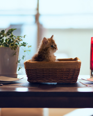 Cute Kitten In Bread Basket - Obrázkek zdarma pro 640x960