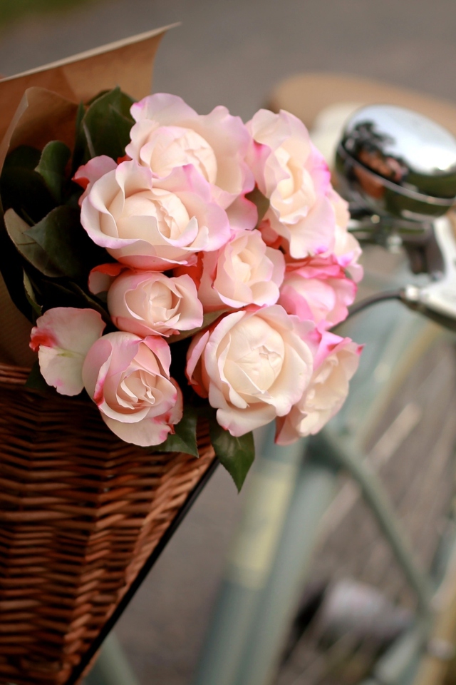 Pink Roses In Bicycle Basket wallpaper 640x960