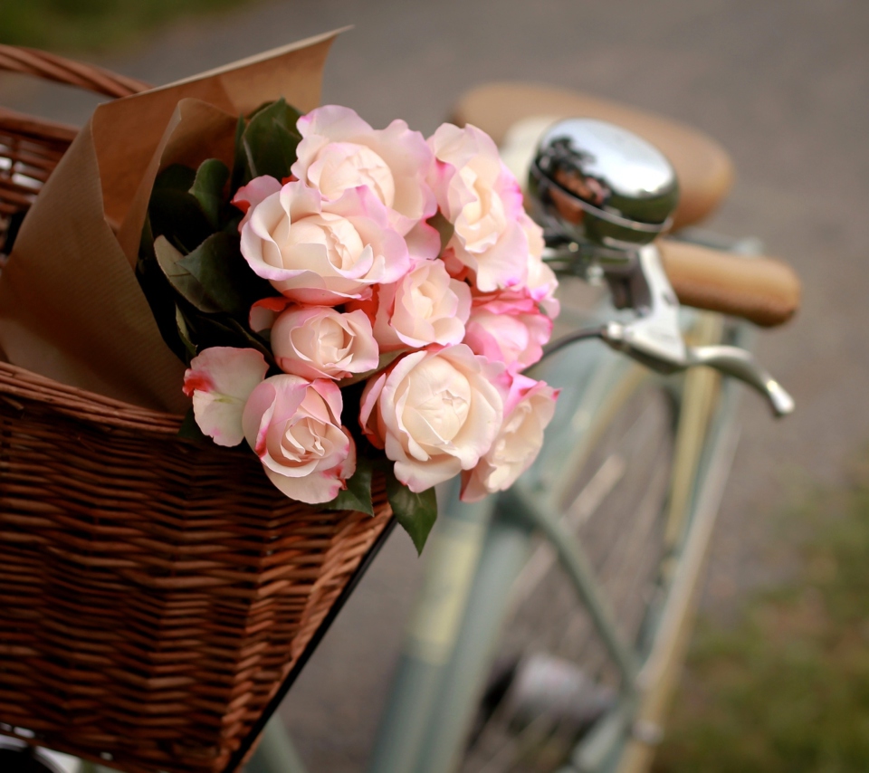 Pink Roses In Bicycle Basket wallpaper 960x854