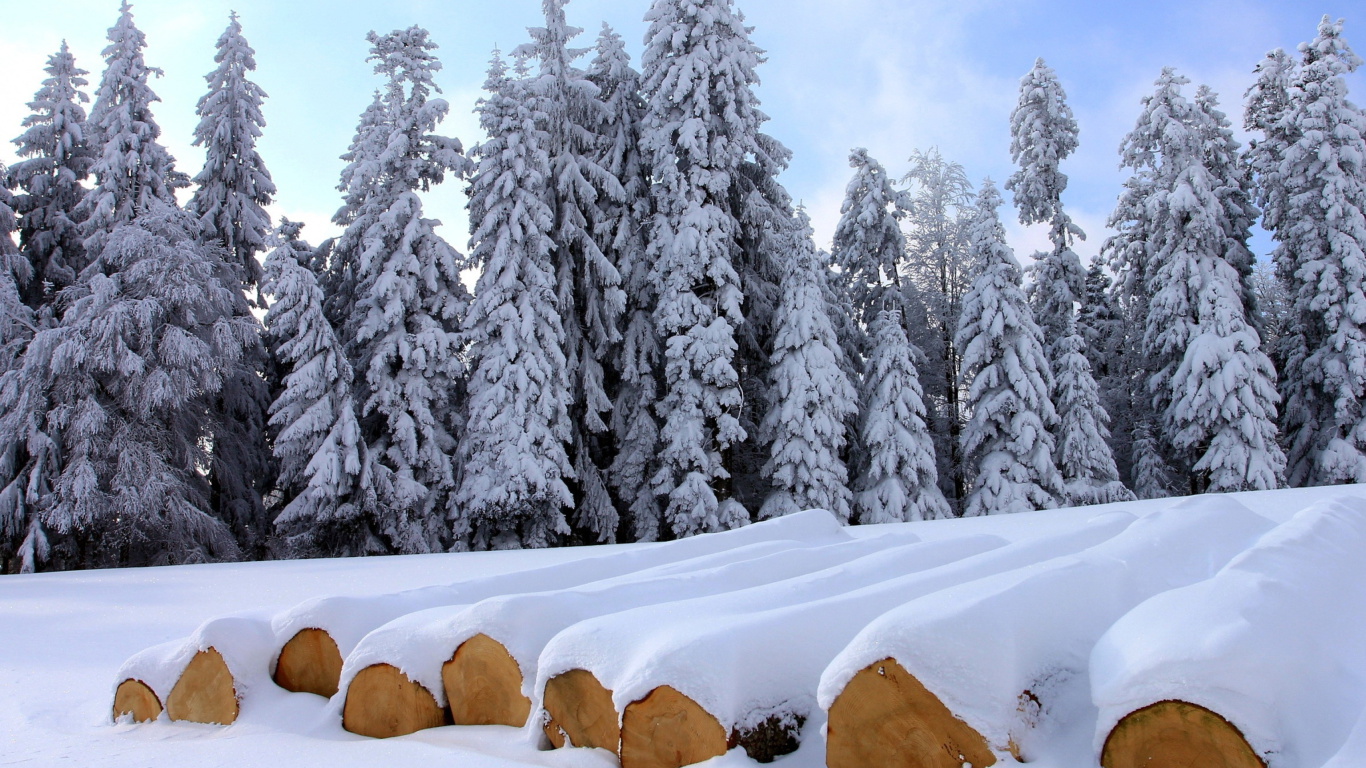Sfondi Firewood under snow 1366x768