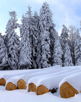 Firewood under snow - Obrázkek zdarma pro 480x640