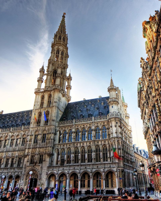 Brussels Town Hall - Obrázkek zdarma pro 480x800