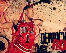 Sfondi Derrick Rose in Chicago Bulls 220x176