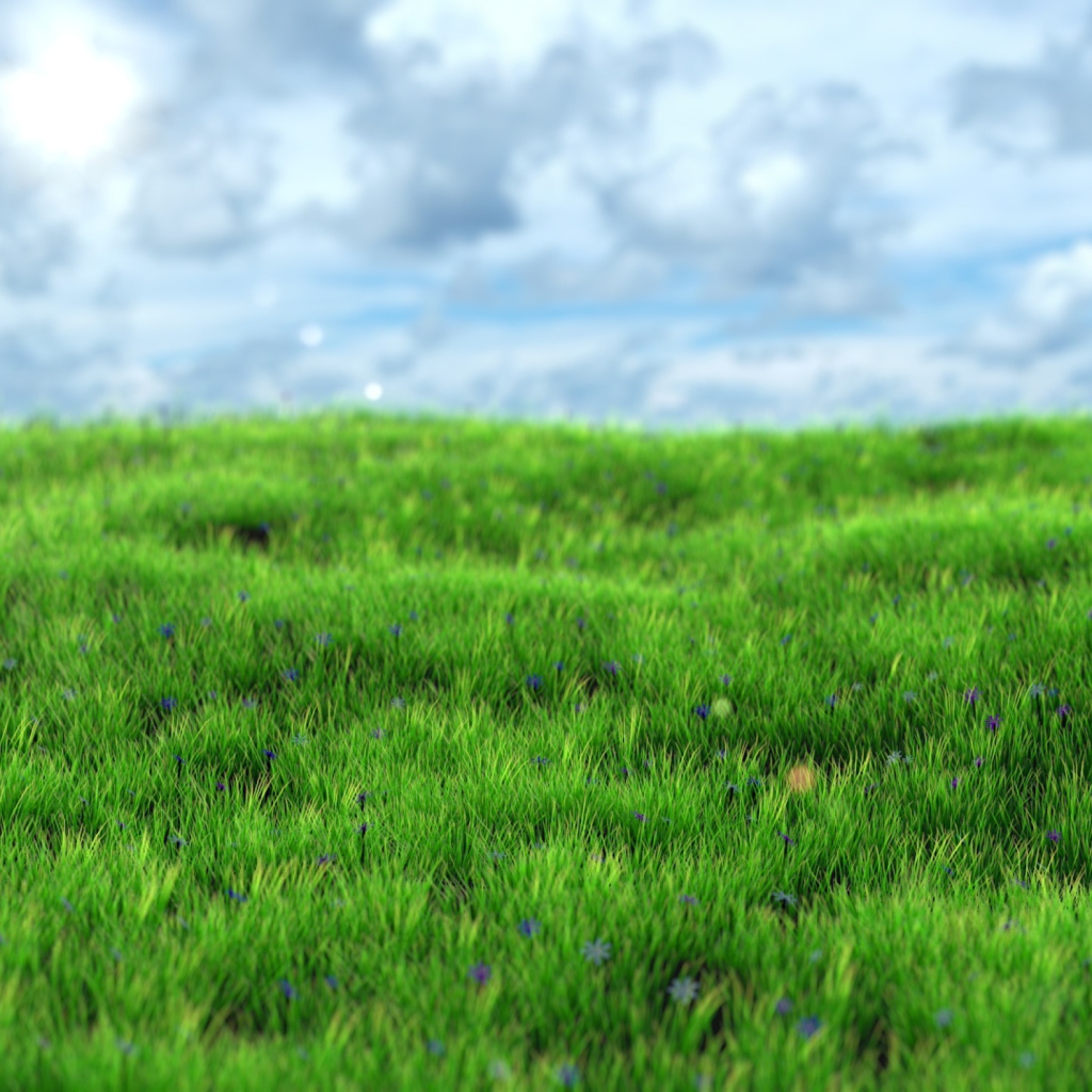 Screenshot №1 pro téma Green Grass 1024x1024