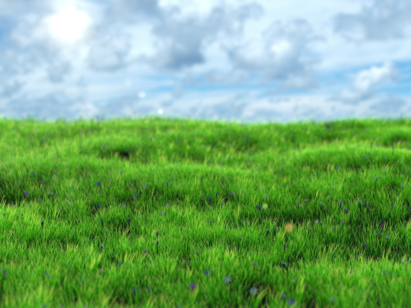 Fondo de pantalla Green Grass 1400x1050