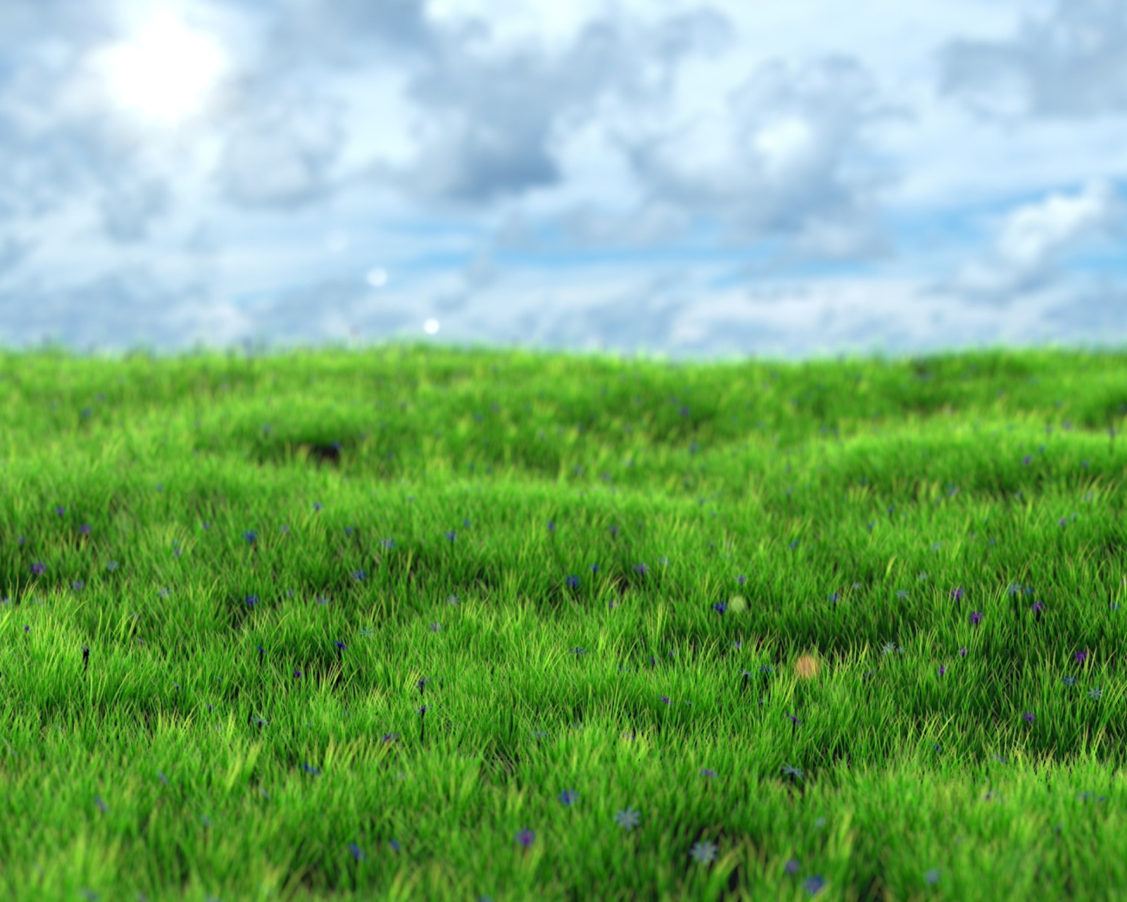 Fondo de pantalla Green Grass 1600x1280