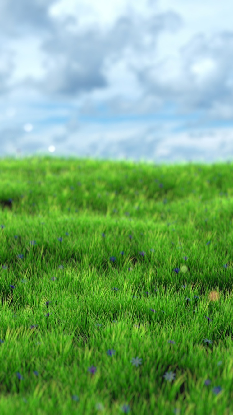 Обои Green Grass 750x1334