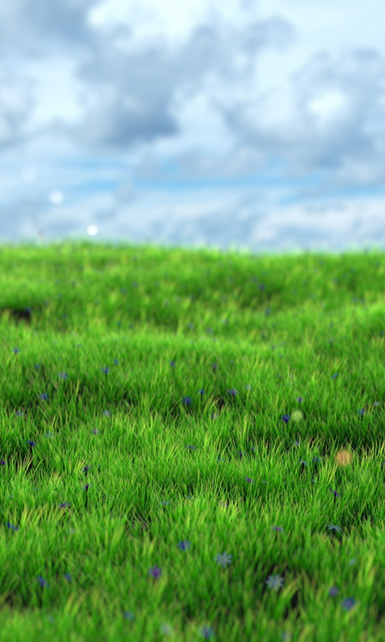 Screenshot №1 pro téma Green Grass 768x1280