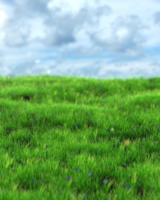 Green Grass - Obrázkek zdarma pro 320x480