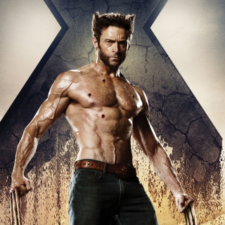 Wolverine In X Men Days Of Future Past - Obrázkek zdarma pro 1024x1024