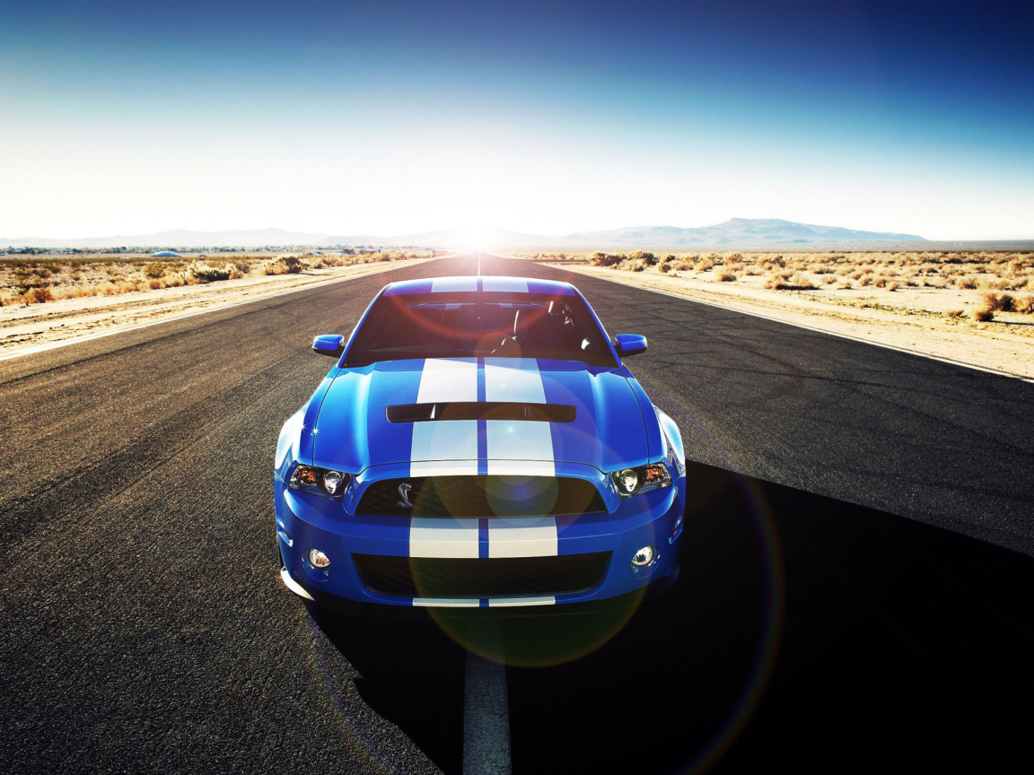 Fondo de pantalla Shelby 1152x864