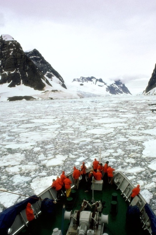 Antarctic Travel screenshot #1 320x480