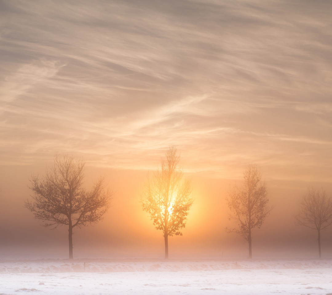 Das Winter Landscape Wallpaper 1080x960