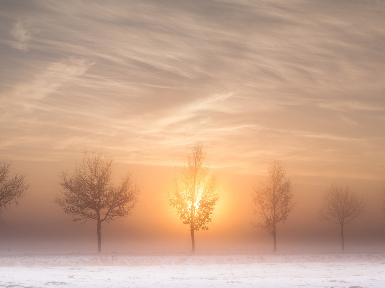 Fondo de pantalla Winter Landscape 1280x960