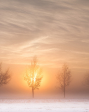 Winter Landscape screenshot #1 176x220