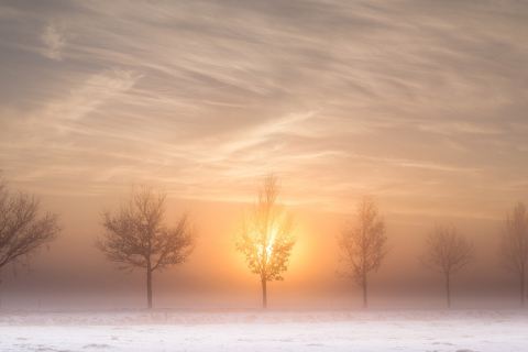 Fondo de pantalla Winter Landscape 480x320