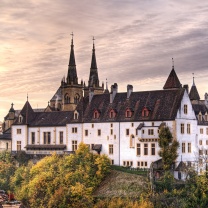 Обои Neuchatel, Switzerland Castle 208x208