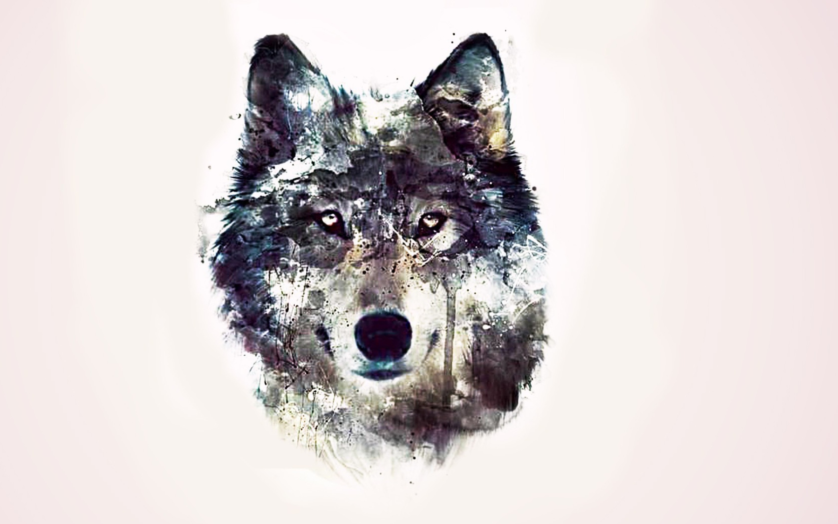 Fondo de pantalla Wolf Art 1680x1050